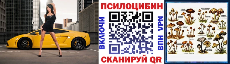 darknet состав  Меленки  Псилоцибиновые грибы Psilocybe  блэк спрут tor 